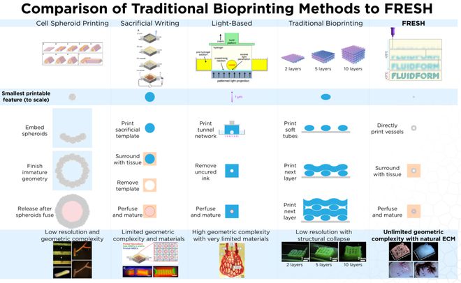 液态悬浮凝胶3D打印技术,FRESH支持胶原蛋白、有机硅和蛋白质等材料