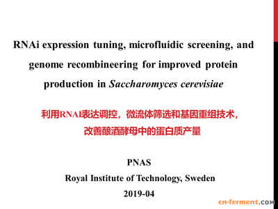 利用RNAi表达调控,微流体筛选和基因重组技术,改善酿酒酵母中的蛋白质产量