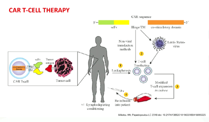 ESMO 2022 | 积跬步以致千里,细胞疗法在实体瘤中的研究进程