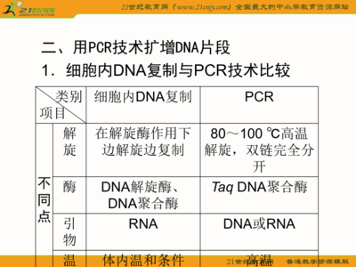 生物2011年高考人教版第一轮精品课件:dna和蛋白质技术1