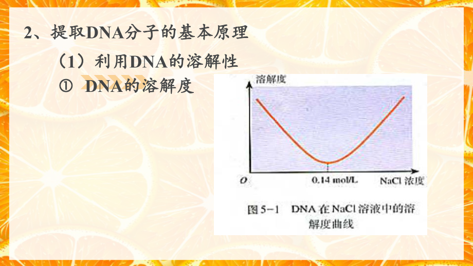 专题5DNA和蛋白质技术