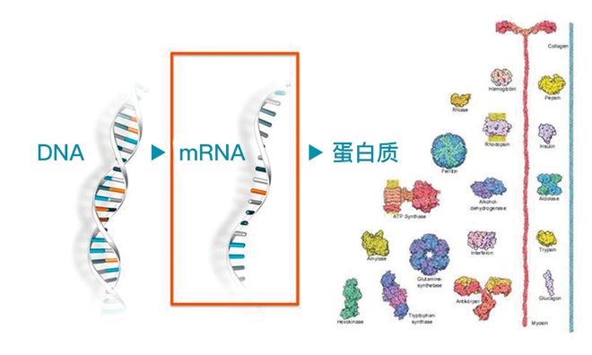 权威发布:《麻省理工科技评论》50家聪明公司榜单!后疫情时代,聚焦中国