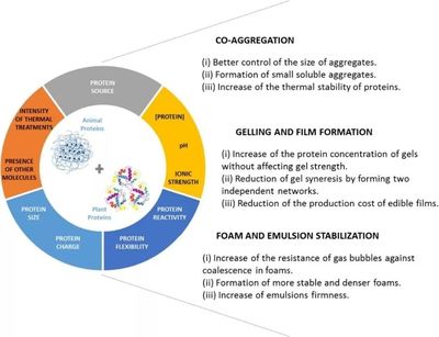 【每日动态】混合动物和植物蛋白:这是一种改善蛋白质技术功能的方法吗?