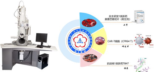 广州健康院电镜平台 看清细胞里的 小宇宙